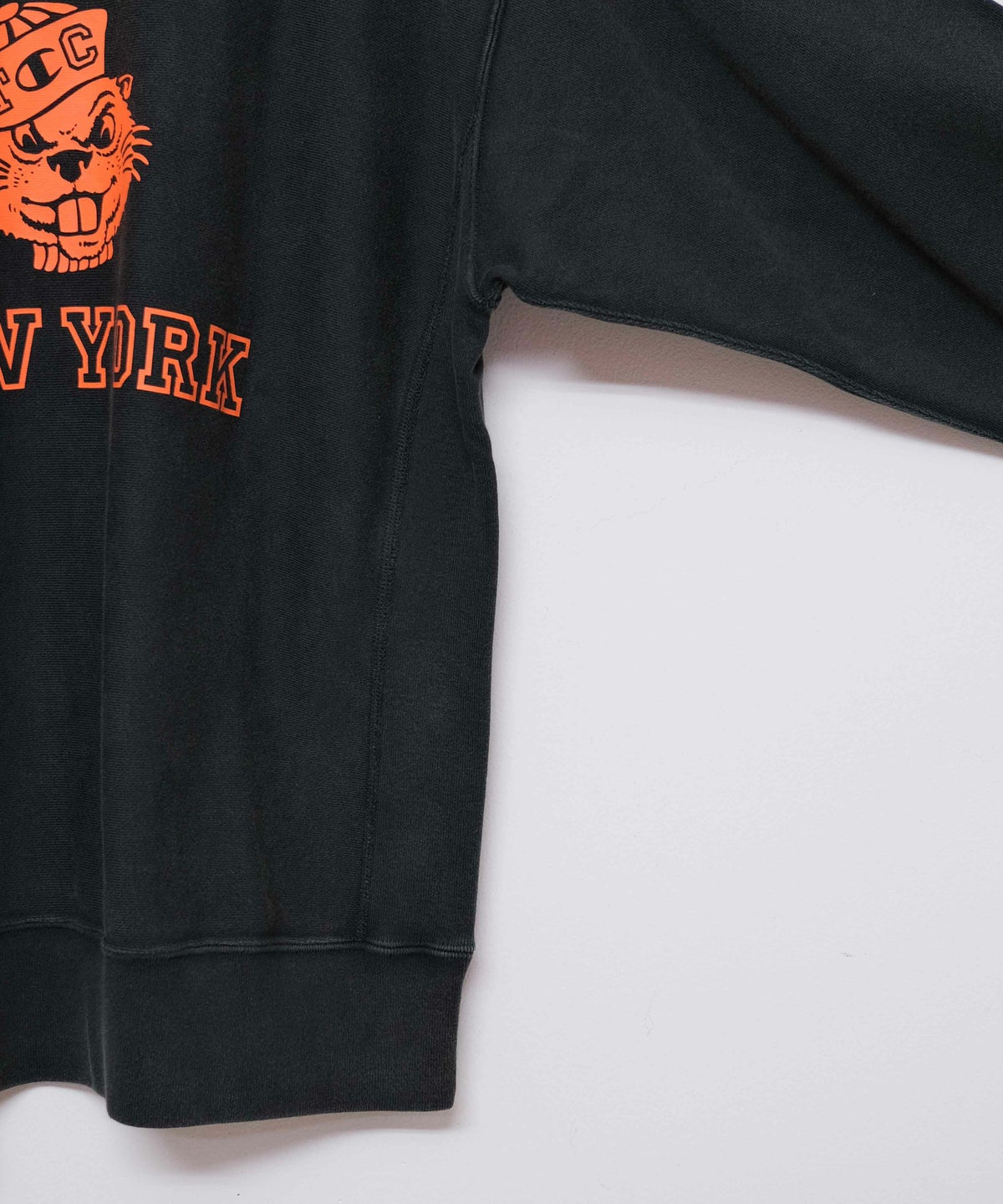 Champion｜REVERSE WEAVE CREW NECK SWEATSHIRT [[C3-B013]][D]