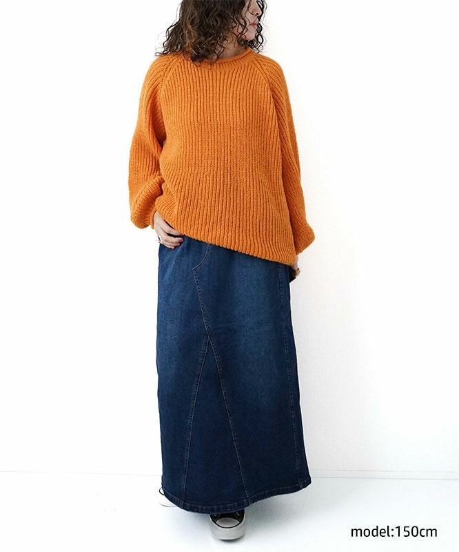 day standard｜裏起毛ストレッチデニムAラインスカート [[10-01-66519]][D]