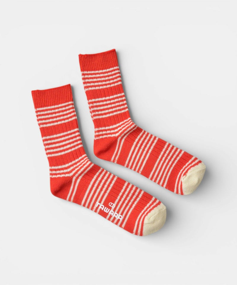 アラジン｜ボーダーカラーソックス [[t41168]][C]