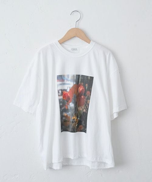 ichi｜ピグメントＴシャツ [[251055]][C]