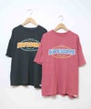 day standard｜スラブ天竺AWESOMEロゴTシャツ [[M6016211]][D]