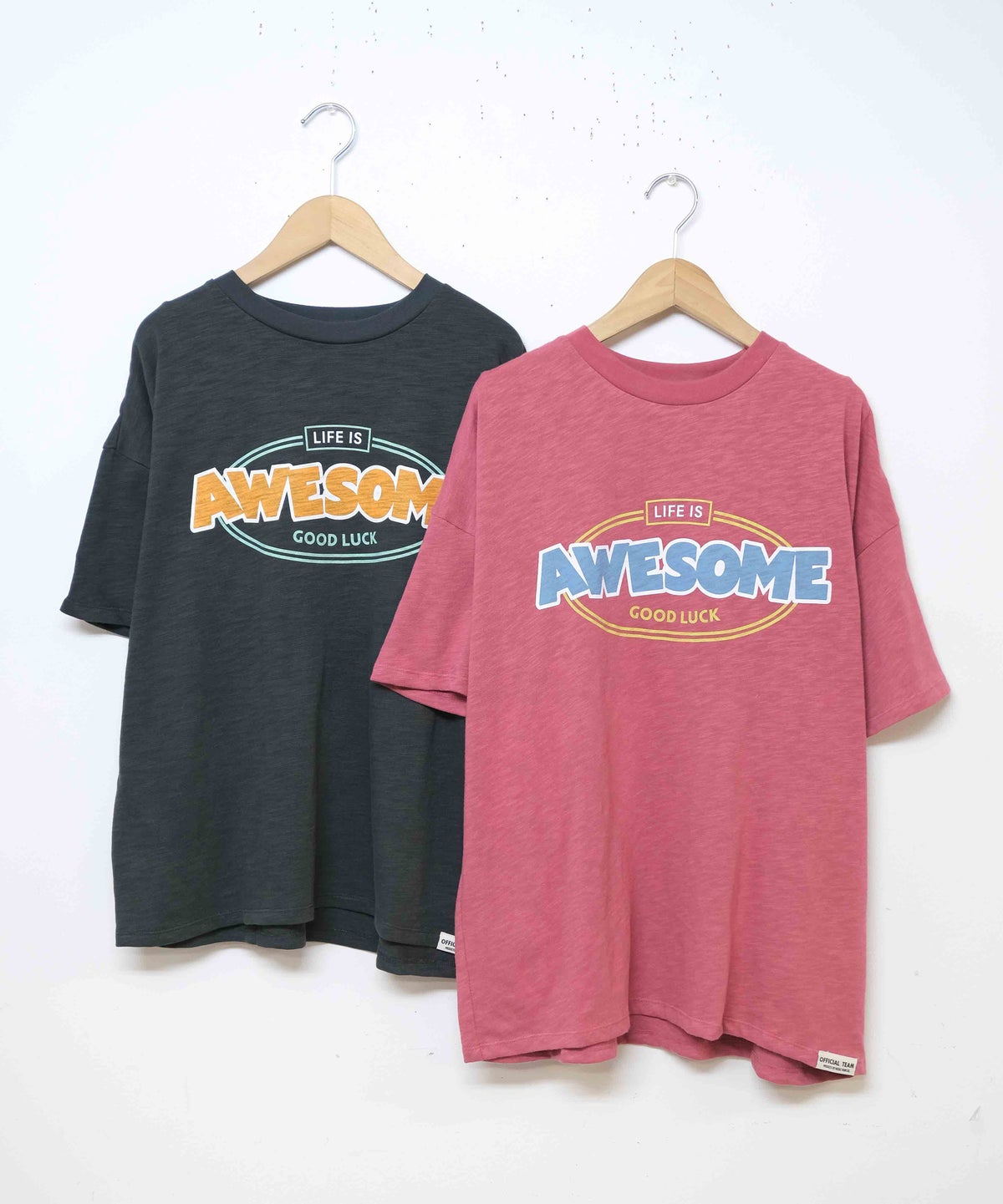 day standard｜スラブ天竺AWESOMEロゴTシャツ [[M6016211]][D]