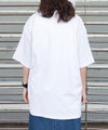 SCREEN STARS｜MONTANA Tee [[2622-SSBT/GPE]][D]