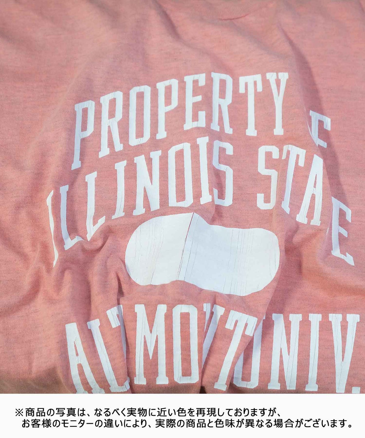  SCREEN STARS｜ILLINOIS STATE Tee [[2622-SSBT/GPP]][D]